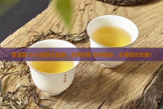 普洱茶官网2022