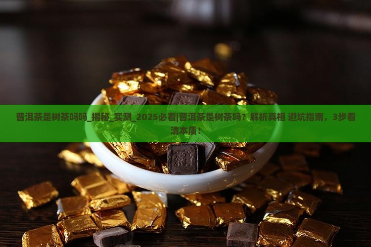 普洱茶是树茶吗吗