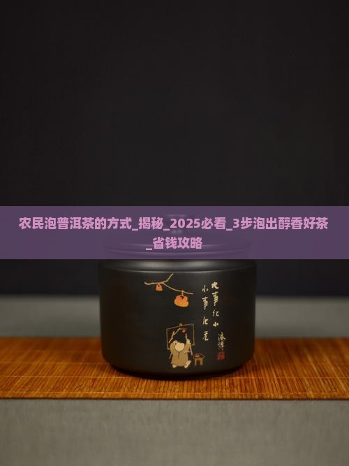 农民泡普洱茶的方式