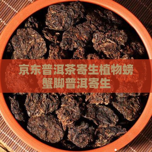 普洱茶寄生植物螃蟹脚