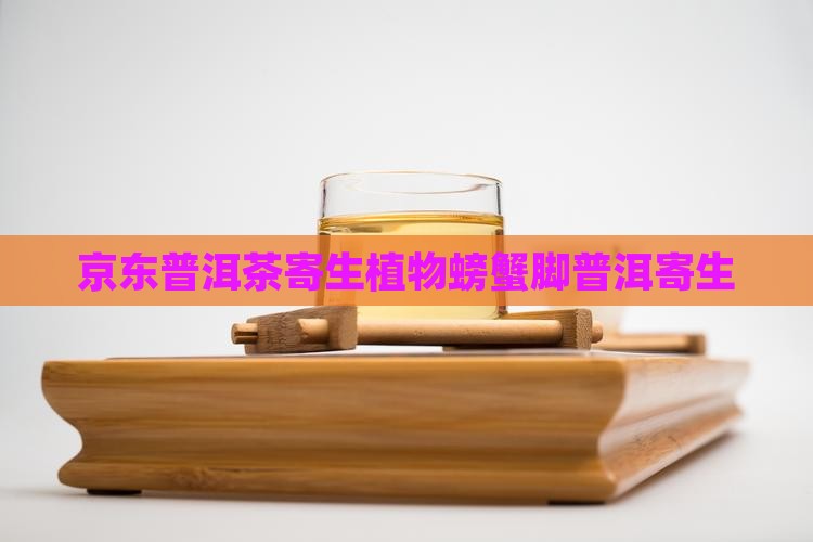 普洱茶寄生植物螃蟹脚