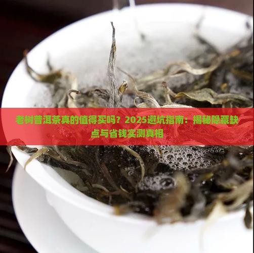 老树普洱茶的缺点