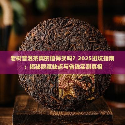 老树普洱茶的缺点