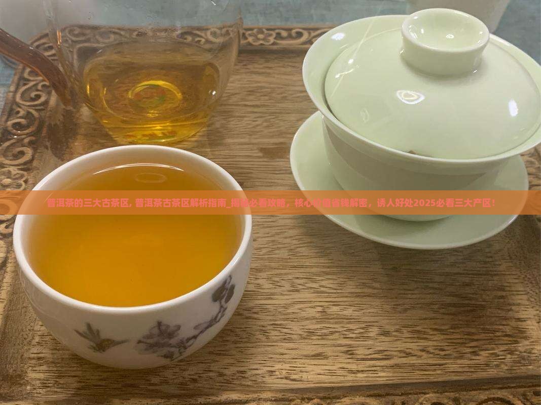 普洱茶的三大古茶区
