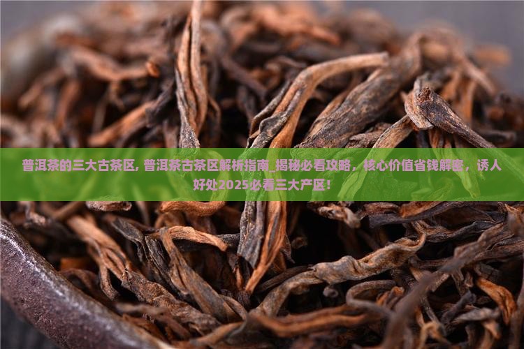 普洱茶的三大古茶区