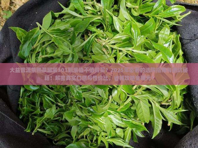 大益普洱茶熟茶罐装301