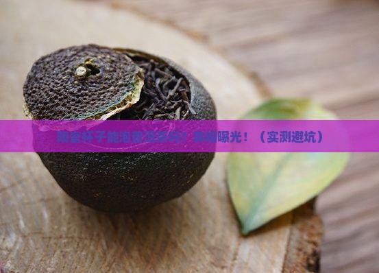 陶瓷杯子可以泡普洱茶吗