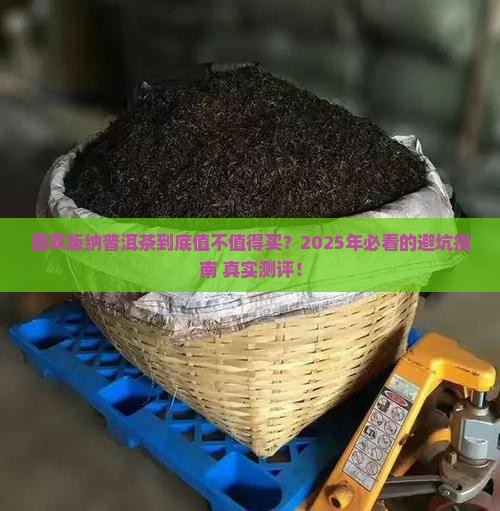 西双版纳优质普洱茶