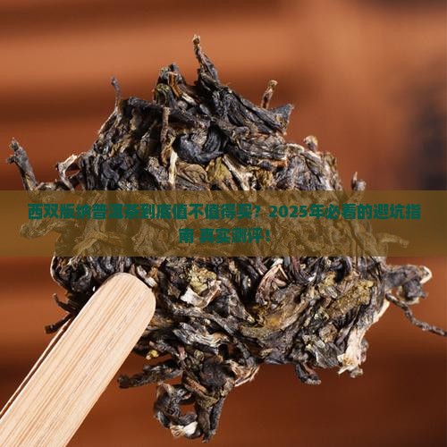 西双版纳优质普洱茶