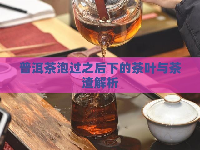 普洱茶泡过之后