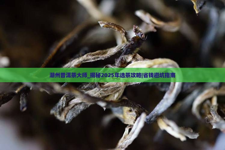 潮州普洱茶大师