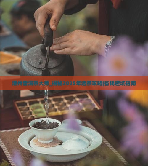 潮州普洱茶大师