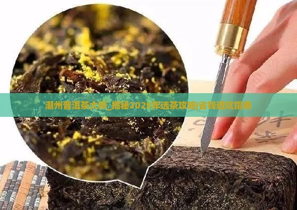 潮州普洱茶大师