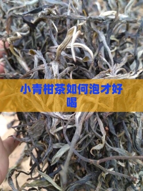 小青柑茶如何泡才好喝