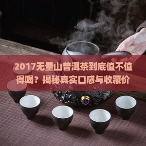 2017无量山普洱茶