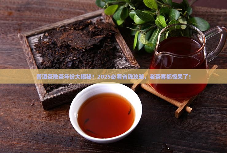 普洱茶散茶年份