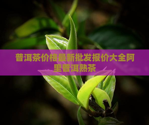 普洱茶的价格经典普洱茶熟普