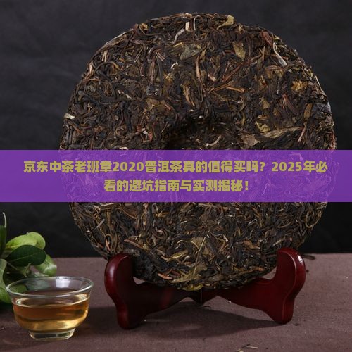 京东中茶老班章2020普洱茶