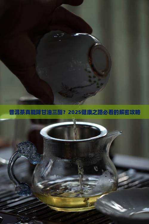 健康之路普洱茶甘油三酯