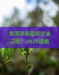 健康之路普洱茶甘油三酯