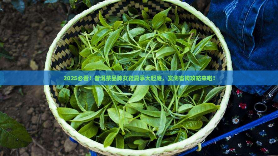 普洱茶品牌女鞋夏推荐