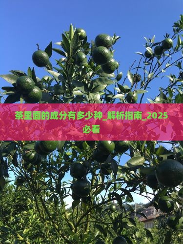 茶里面的成分有多少种