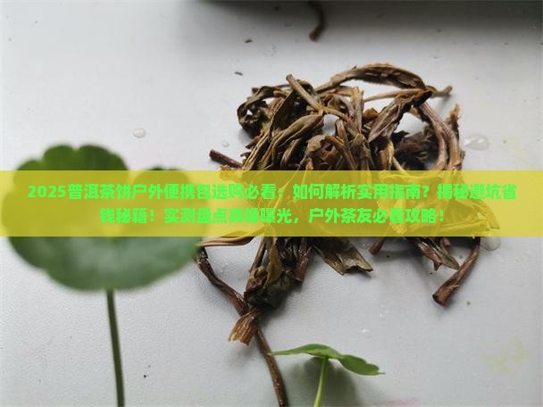 普洱茶饼户外便携包