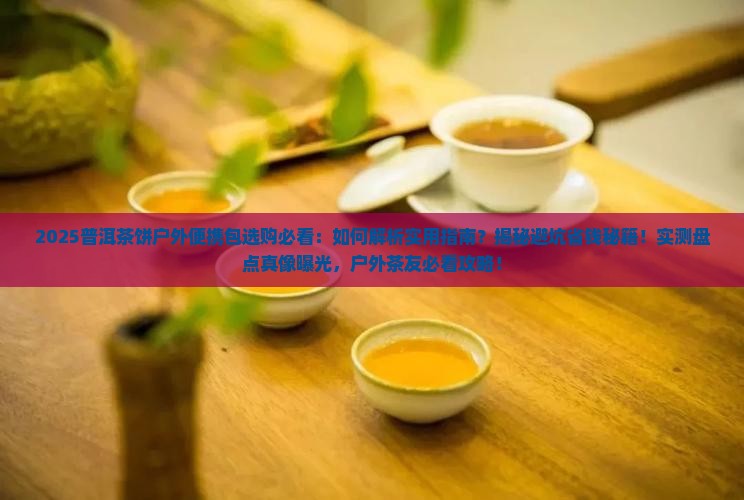 普洱茶饼户外便携包