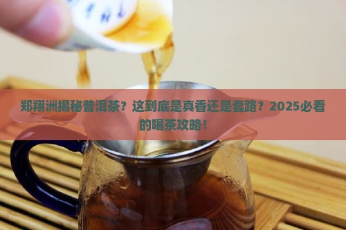 郑翔洲讲普洱茶