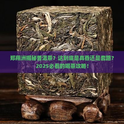 郑翔洲讲普洱茶