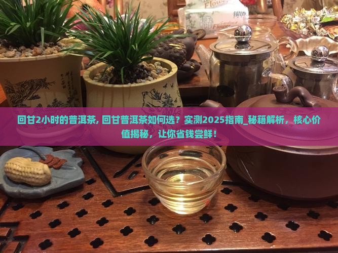回甘2小时的普洱茶