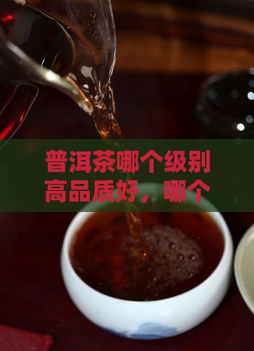 普洱茶哪个级别高品质