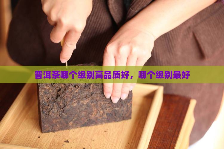 普洱茶哪个级别高品质