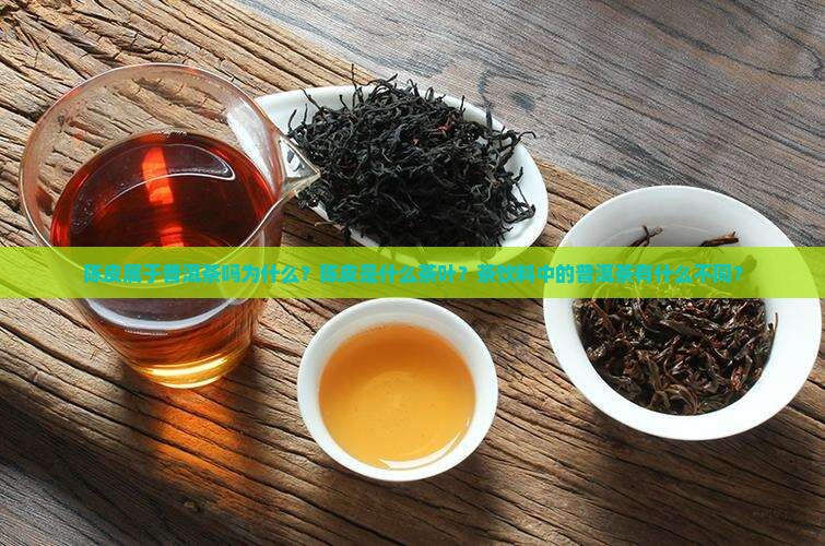 陈皮属于普洱茶吗为什么