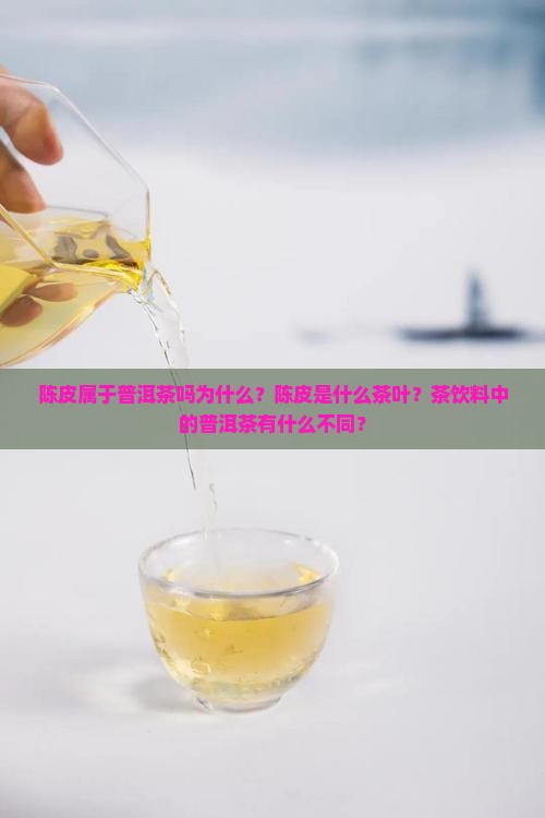 陈皮属于普洱茶吗为什么