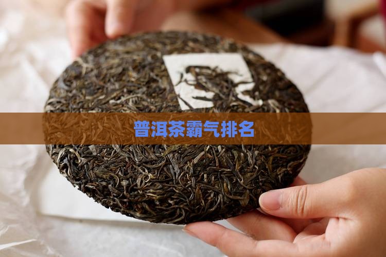 普洱茶霸气排名