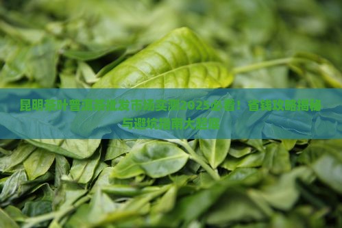 昆明茶叶普洱茶批发市场