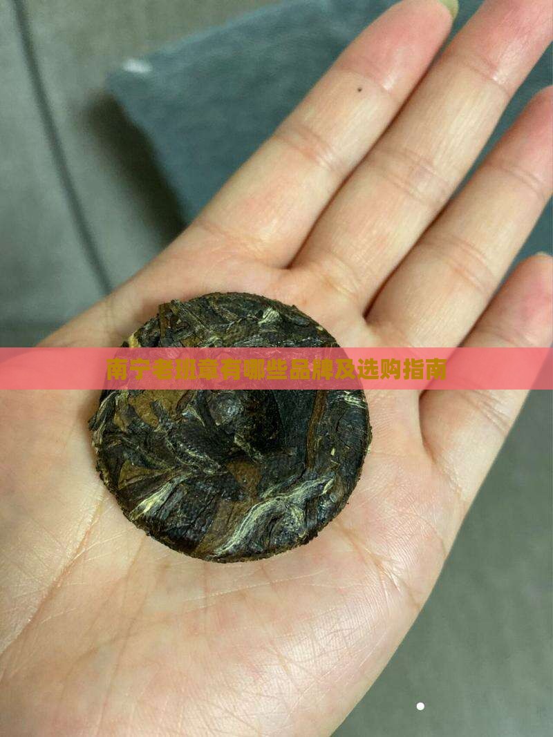 南宁老班章有哪些