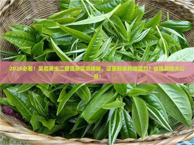 吴启英虫二普洱茶