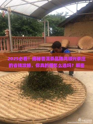 普洱茶品牌鸿顺兴茶庄