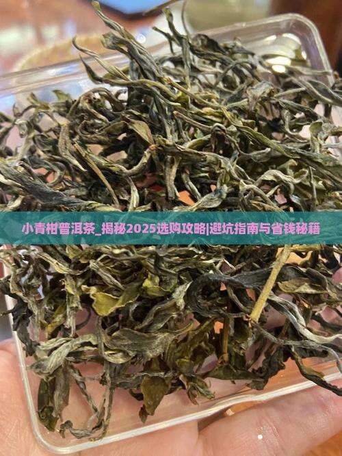 小青柑普洱茶描述