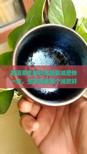 普洱茶生茶还是熟茶减肥快一点