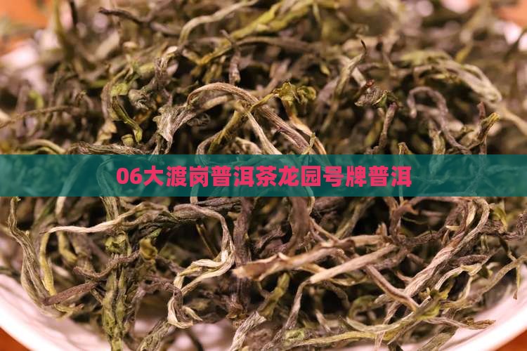 06大渡岗龙园号牌普洱茶