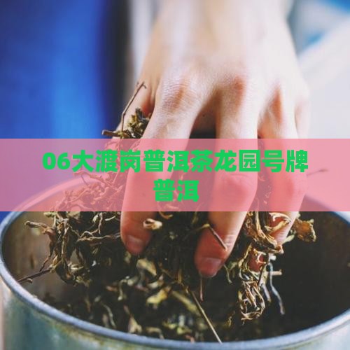 06大渡岗龙园号牌普洱茶