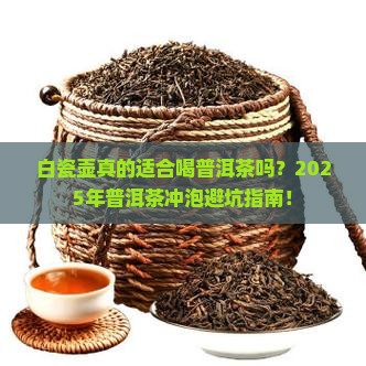 白瓷壶喝普洱茶