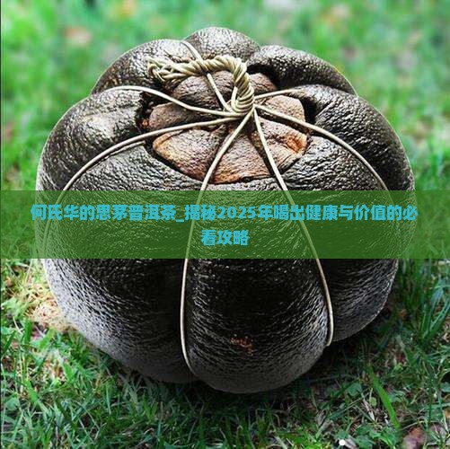 何氏华的思茅普洱茶