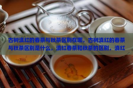 古树滇红的春茶与秋茶区别