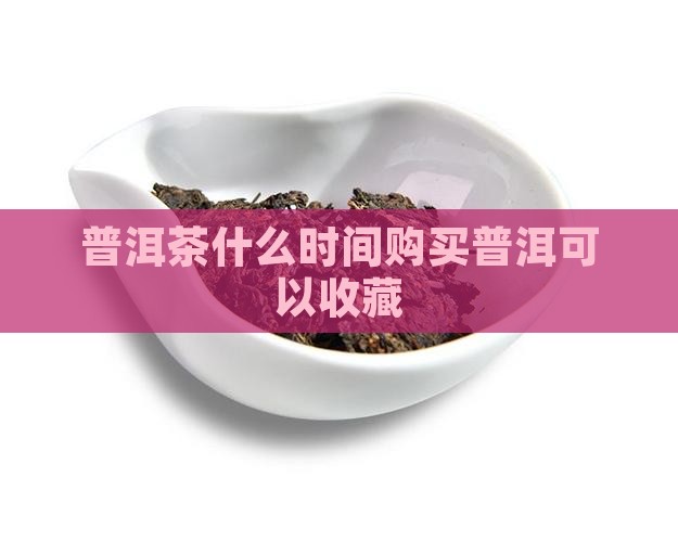 普洱茶什么时候可以购买藏