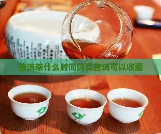 普洱茶什么时候可以购买藏