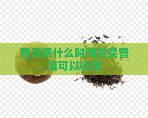 普洱茶什么时候可以购买藏